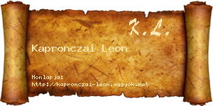 Kapronczai Leon névjegykártya